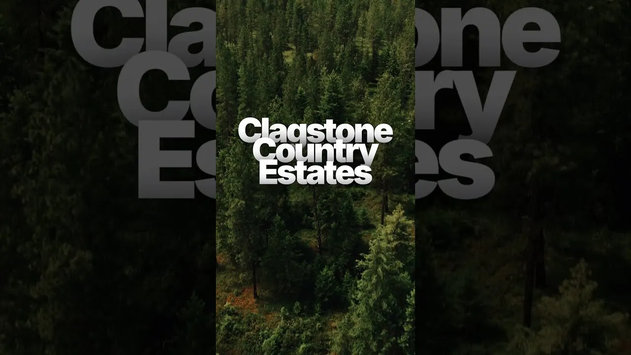 Aerial view straight down onto dense pine forest at Clagstone Country Estates.