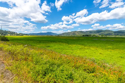 A spring meadow opening to distant mountains under a wide Kootenai County sky.
